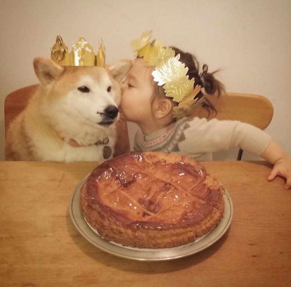 镜头下:同时长大的混血小女孩和她的柴犬