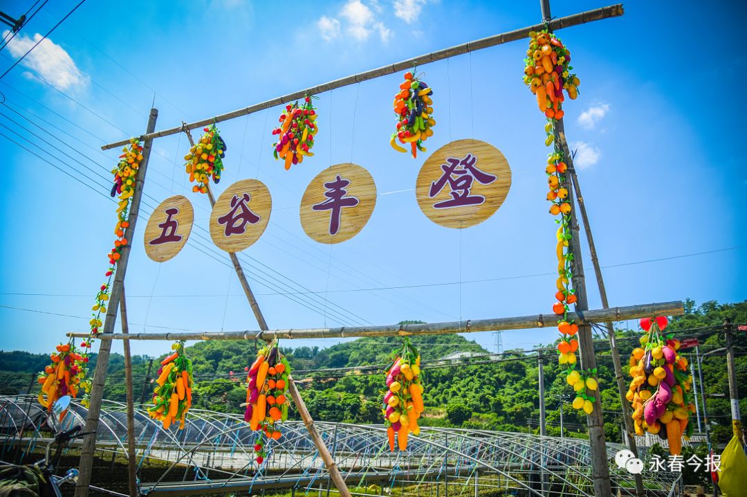 中国农民丰收节,乡村旅游推介会来啦._埔头村