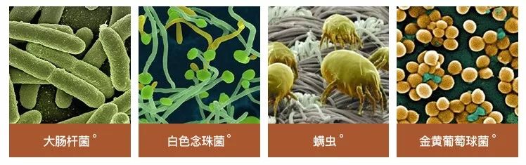 瓷砖用不对,家里地面细菌有千万?