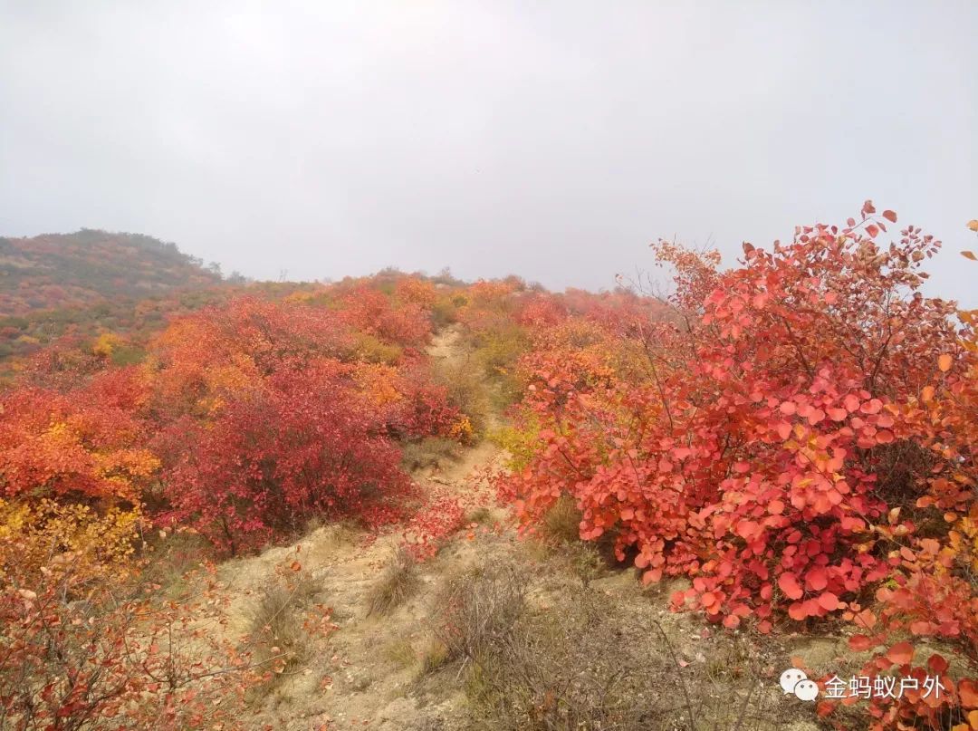 週三10月23號( 第四期)絳縣紫家峪徒步賞紅葉