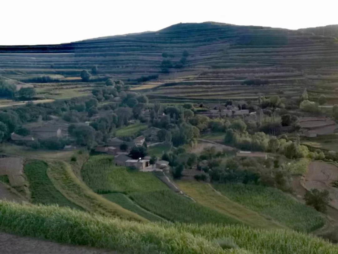 實拍甘肅定西隴西縣小山村典型的黃土高原風貌