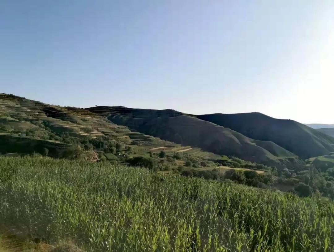 實拍甘肅定西隴西縣小山村典型的黃土高原風貌