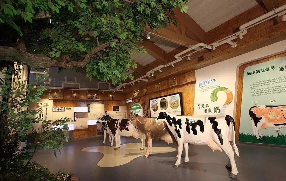 通过声,光,电的演示手段展示当前最先进的奶牛养殖技术,奶牛科普知识