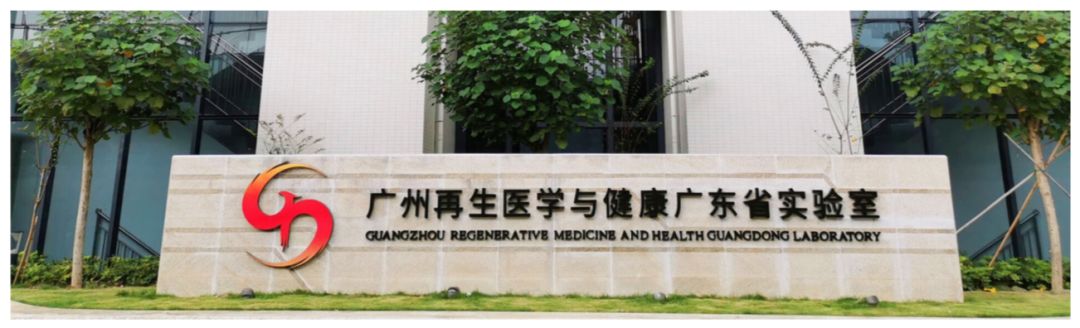 就业创业广州再生医学与健康广东省实验室