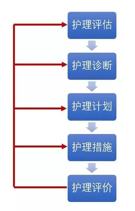 荐读 护理程序