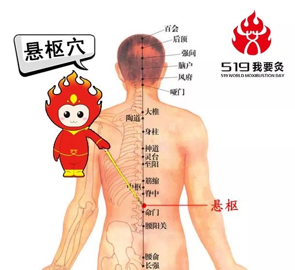 519说穴悬枢穴腰脊强痛腹胀腹痛