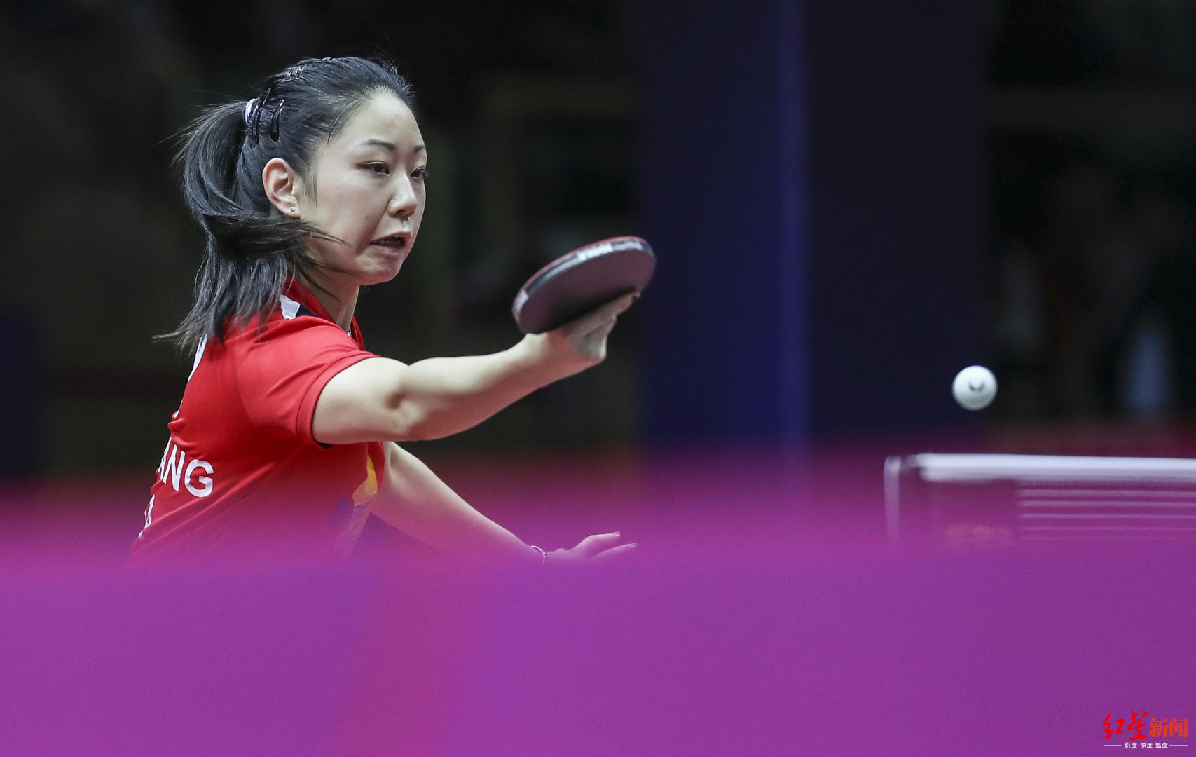 张安虽然出生在美国,但张安的父母都是西安人,她