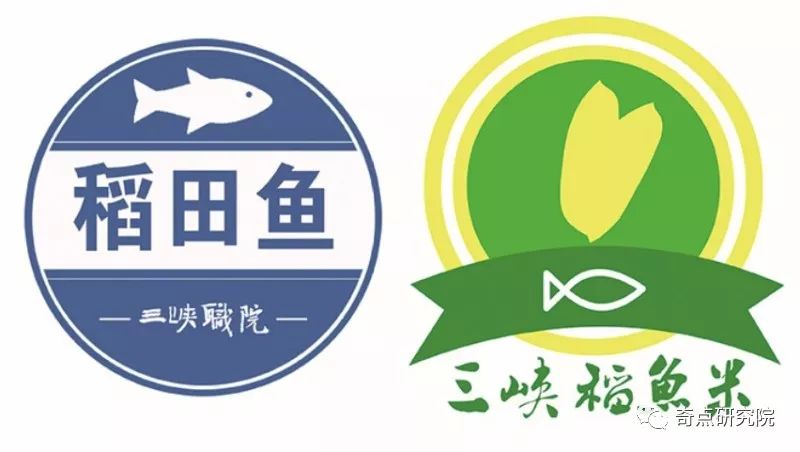 学校申请稻渔产业产品商标2017年摸鱼节2018年对口帮扶白土镇大林村稻