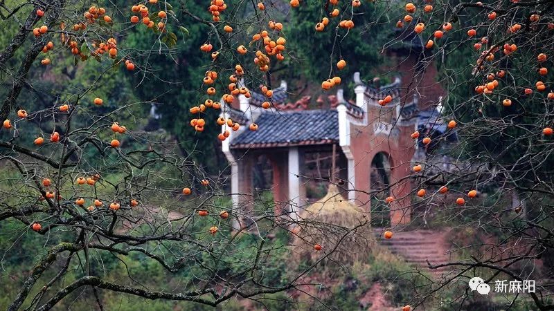 深秋的麻阳,处处皆景,颜值美出新高度!