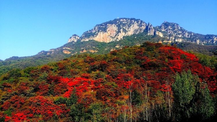 层林尽染秋意浓巩义盘龙山红叶美如画