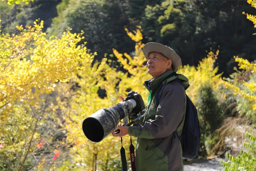 (郭裕铭摄)(郭裕铭摄)(胡冕摄)(胡冕摄)部分素材来源:神农架国家公园