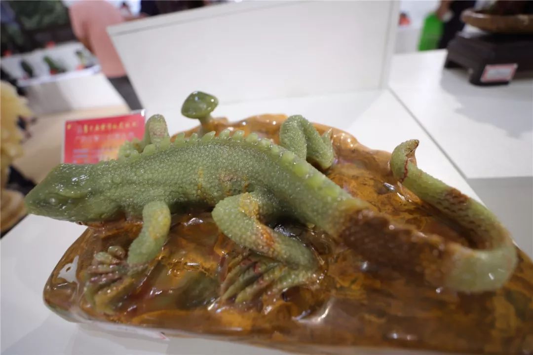 关注!石展会的现场气氛如何?快跟小编来个深度游吧!_云浮市