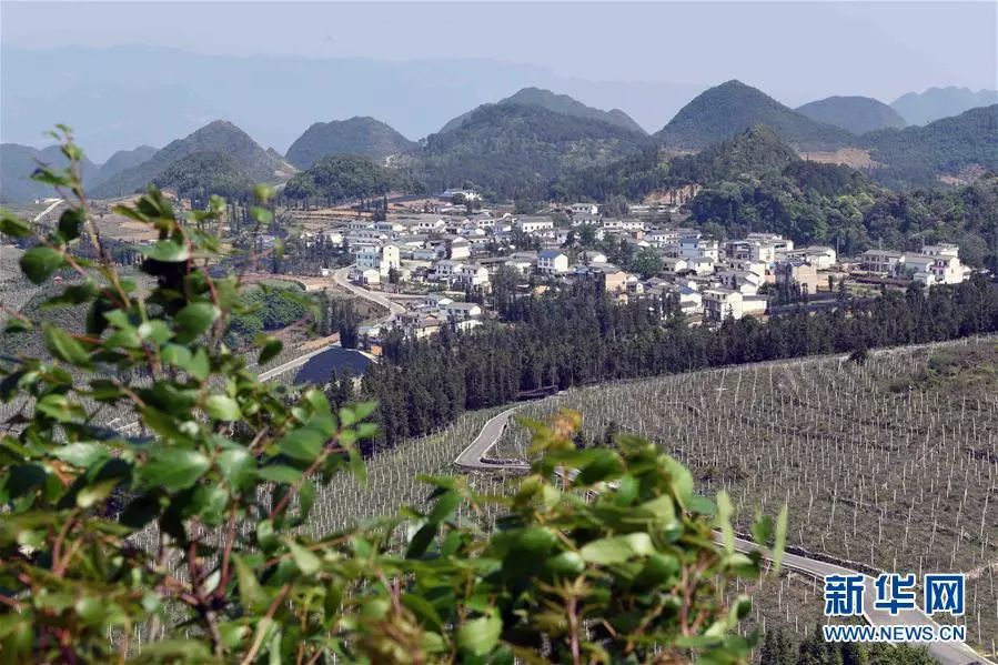 这是云南西畴县兴街镇多依坪村新貌.