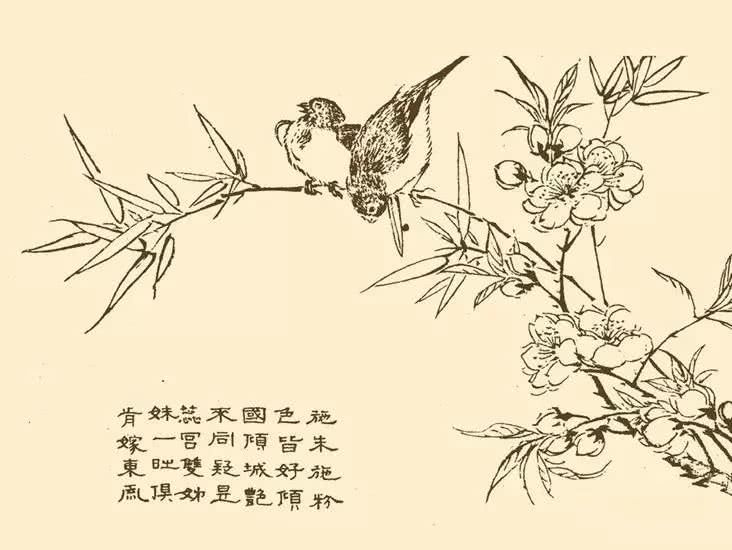 芥子园中千姿百态的鸟,珍藏!(50幅)_画谱