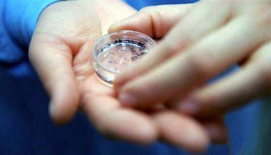 乙肝患者可以做试管婴儿吗南京供卵试管婴儿专家为您科普