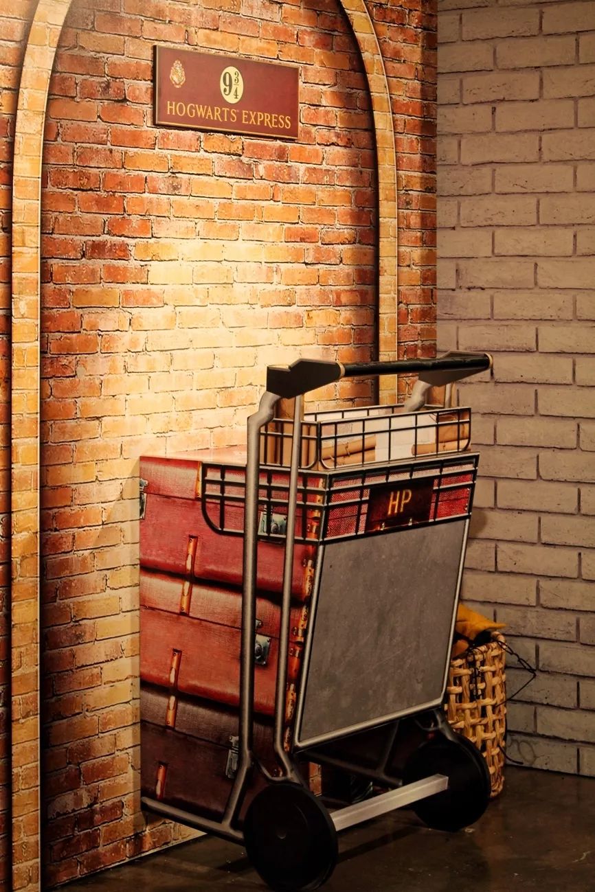 【实拍】全澳最大哈利波特主题店,就在墨尔本myer,千人排队