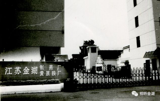 金湖制衣厂