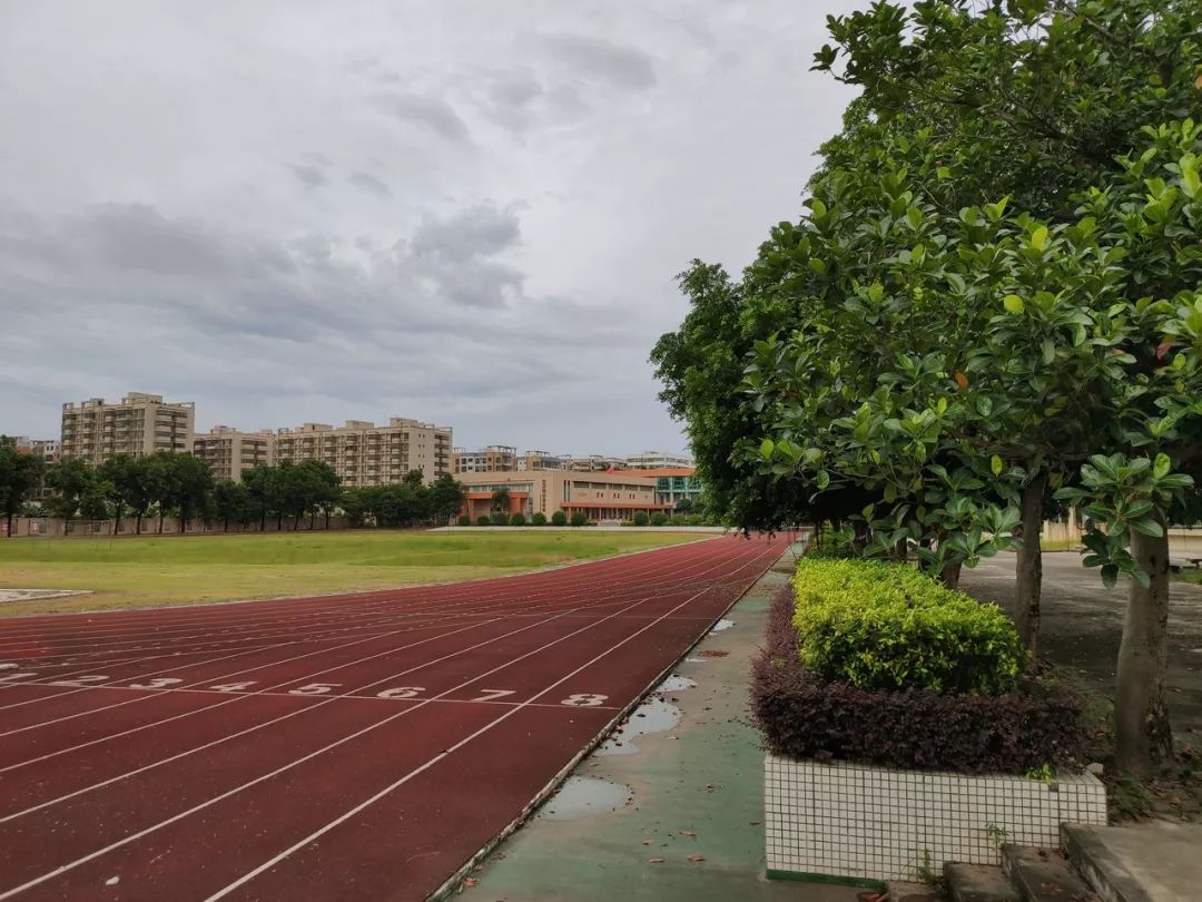 台山市育英中学图片