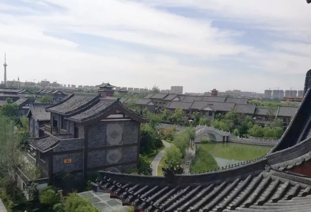 开封建业半亩园丨宋韵满汴京菊香透古城