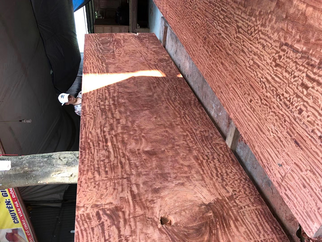 缅甸花梨大板图赏缅花特殊纹理集中呈现足以和任何纹理著称的名木比美