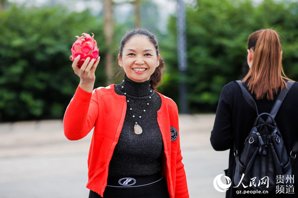 2019贵州省火龙果丰收节千名群众到罗甸尝鲜