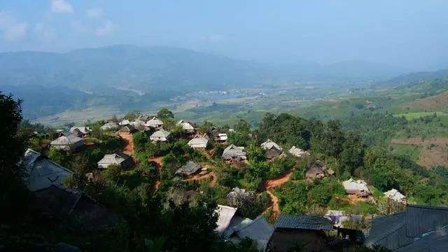 茶山介绍帕沙古茶山以及帕沙古树普洱茶的特征