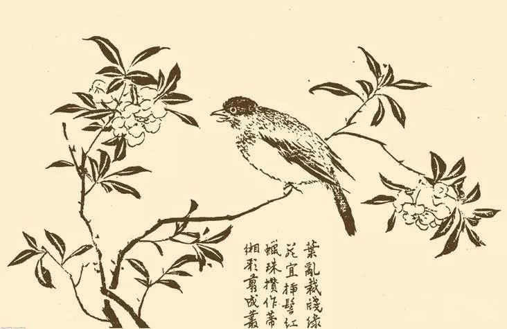 芥子园花鸟画100幅图片