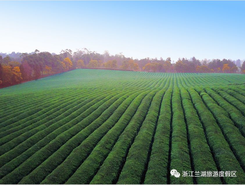 风情小镇回味游乐园皮划艇吃在兰湖四季兰湖餐厅玺尔宴会厅住在兰湖那