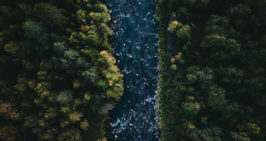 双11今年不只打价,海尔美的拼科技,东芝长虹创维秀时尚!-家电圈官网