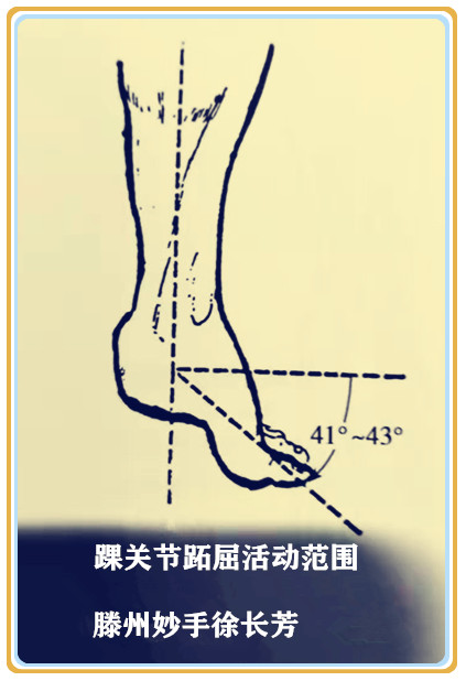 今天我们重点聊踝关节疾病引起的踝关节跖屈受限.