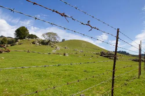 荆棘丝栅栏产权与农业发展