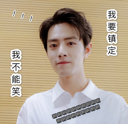 追星成功!肖战晒与偶像孙燕姿同框合影,站姿乖巧故作镇定超可爱