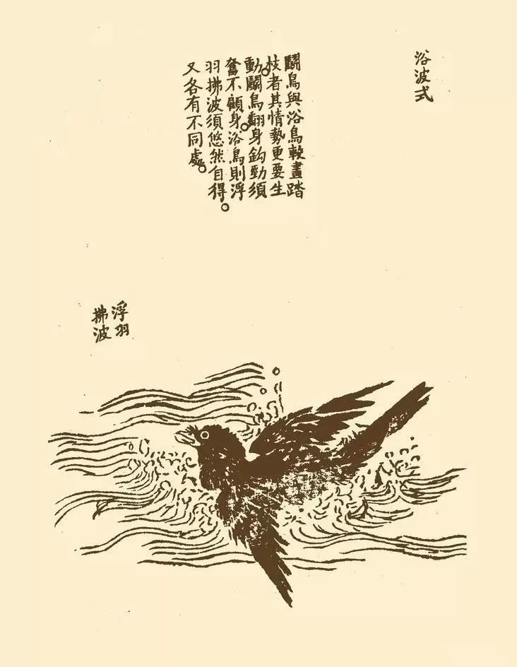 芥子园中千姿百态的鸟,珍藏!(50幅)_画谱