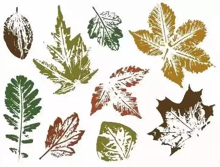 环创分享|敲敲印印=艺术品?这五种拓印画孩子超爱玩!_树叶