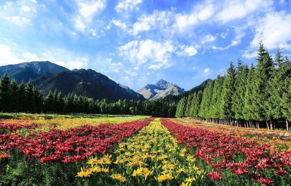 时事百科塔城十大旅游景点