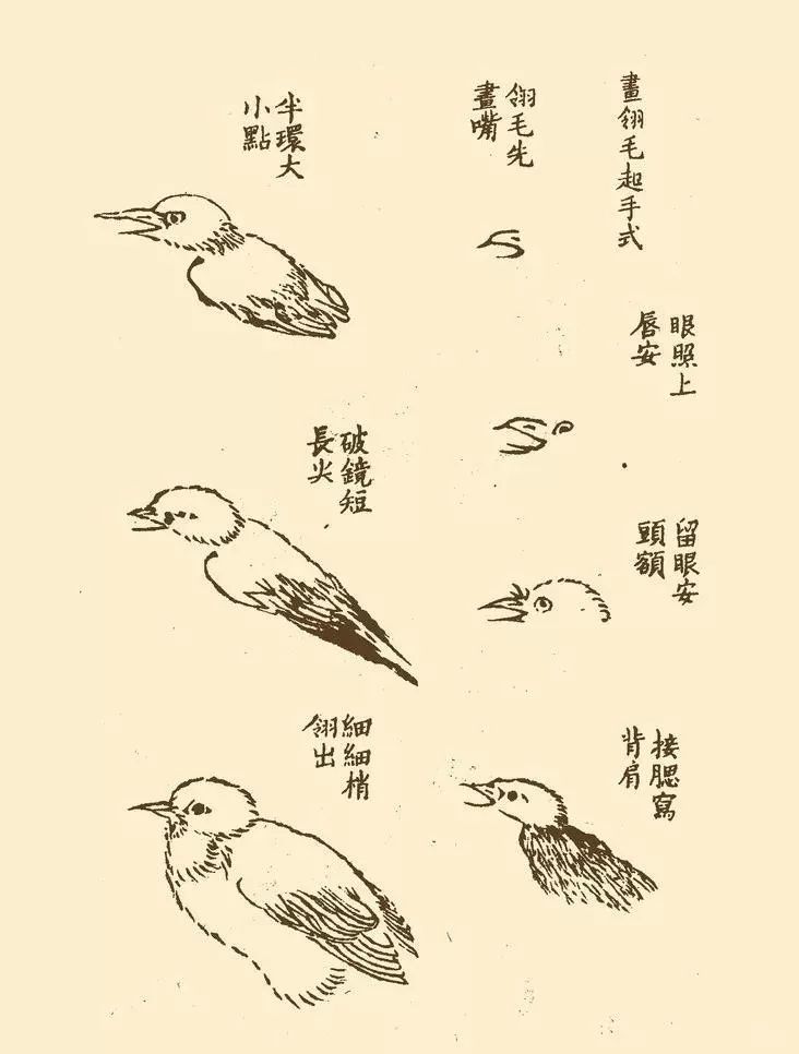 芥子园中千姿百态的鸟,珍藏!(50幅)_画谱