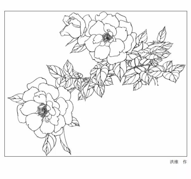 9種花卉白描圖收藏備用