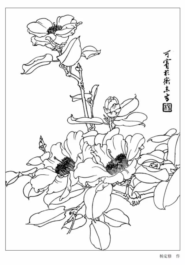 9種花卉白描圖 收藏備用!_牡丹