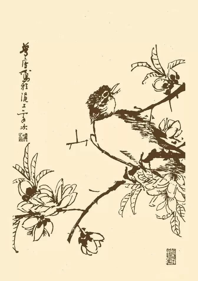 芥子园中千姿百态的鸟,珍藏!(50幅)_画谱