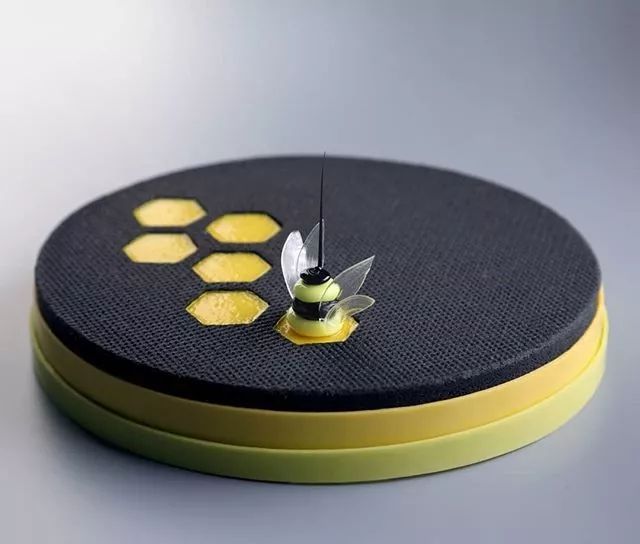 一只小蜜蜂飞在花丛中已打包可下载