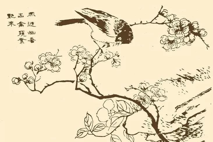 芥子园中千姿百态的鸟,珍藏!(50幅)_画谱