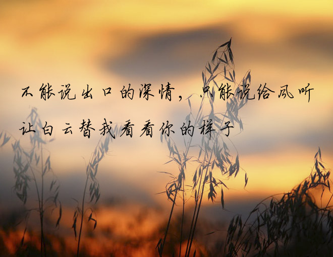 爱到深处是不舍情到深处是心疼