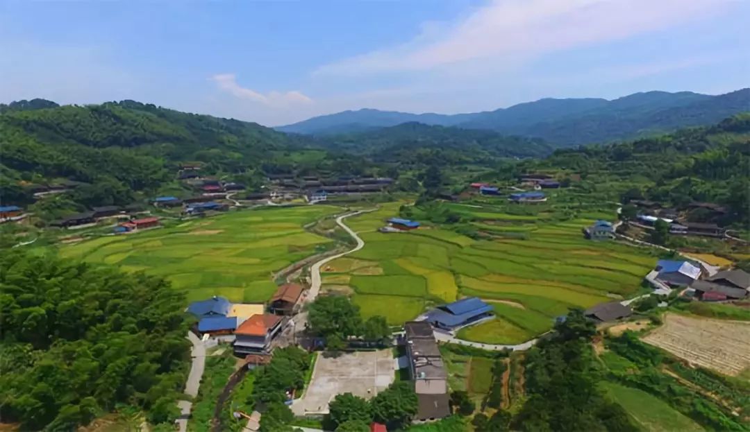 沅陵莲花池向氏家谱图片