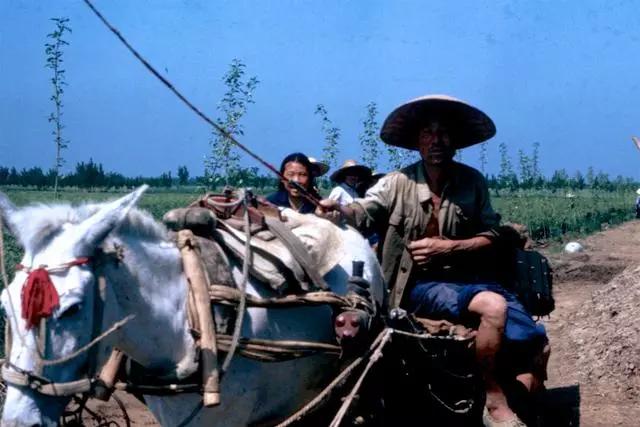 老照片:一位日本人拍摄的1985年中国农村生活,邻居关系简单融洽