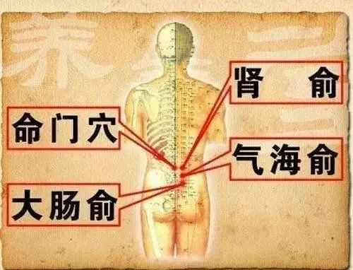 肾和腰在哪个位置图片图片