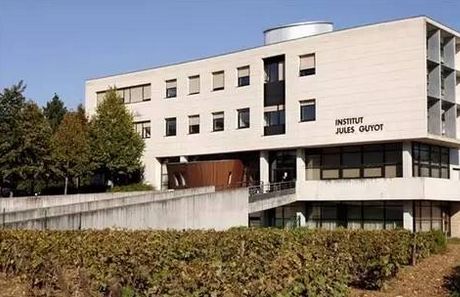 法国勃艮第大学本硕专业一览表