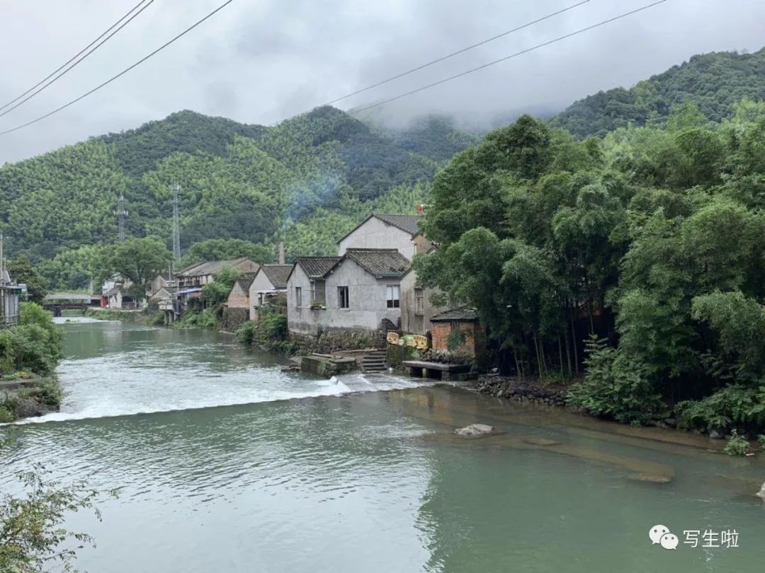 棠云艺术谷首届油画研修班导师赵培智李学峰张文惠黄礼攸段远文