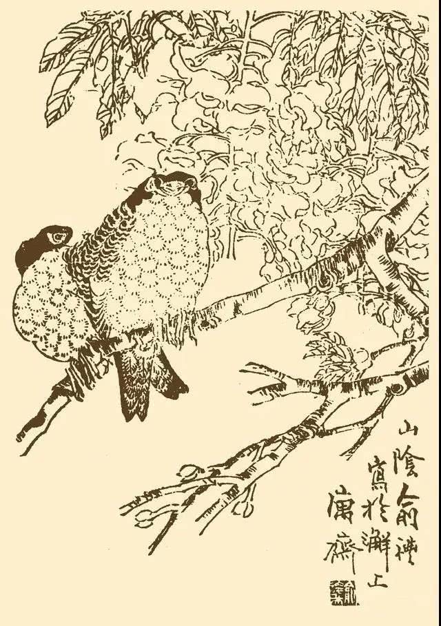芥子园中千姿百态的鸟,珍藏!(50幅)_画谱