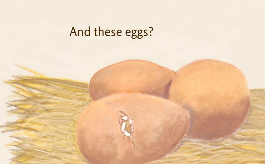 what about these eggs?没错,是蚂蚁下的蛋.