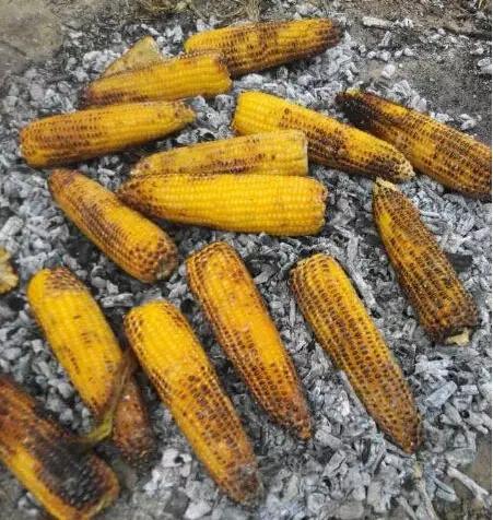建昌往事烧苞米烀苞米
